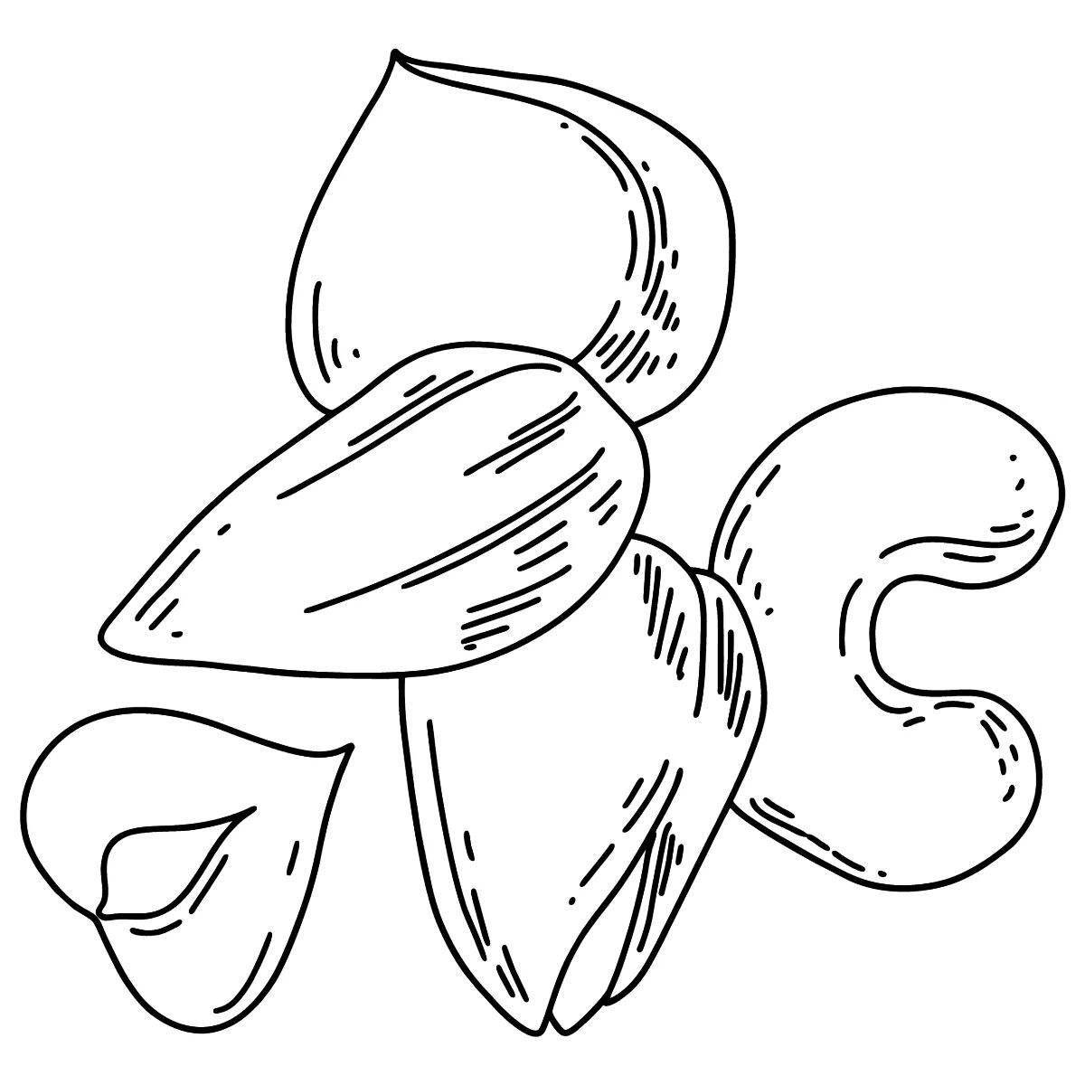 Раскраска Очаровательная раскраска гайка