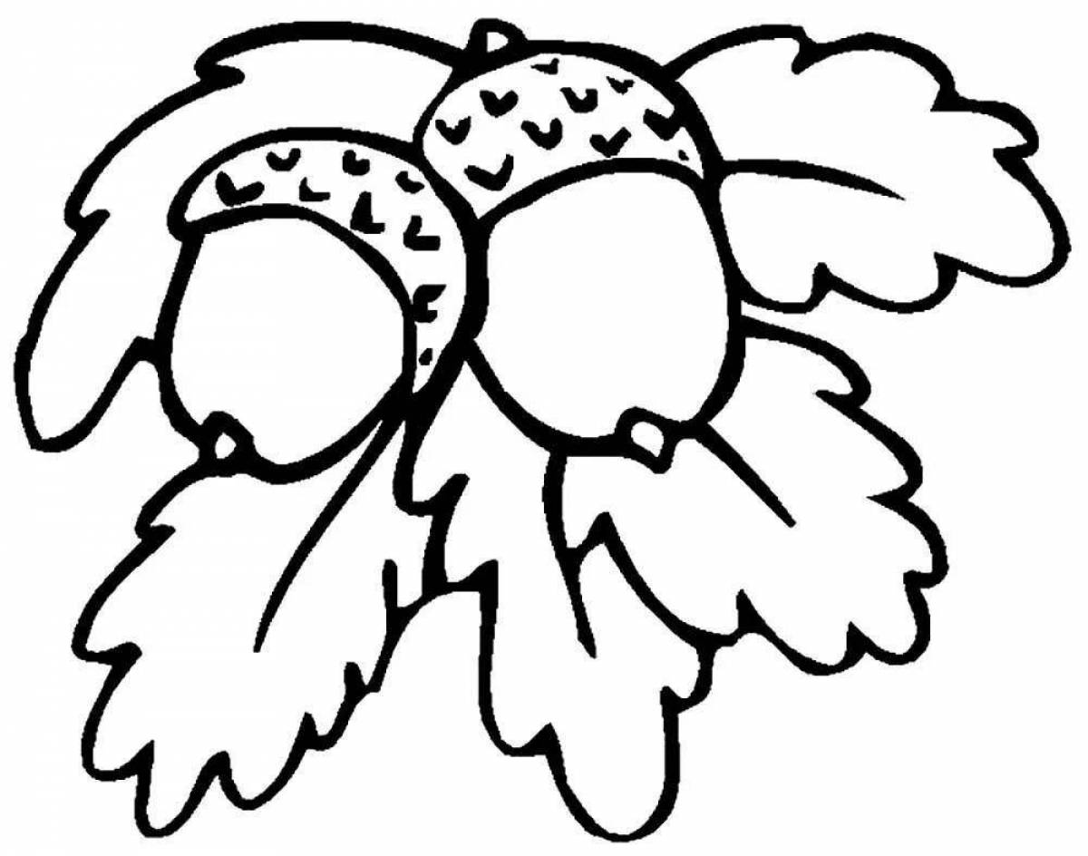 Раскраска Волшебная раскраска орех