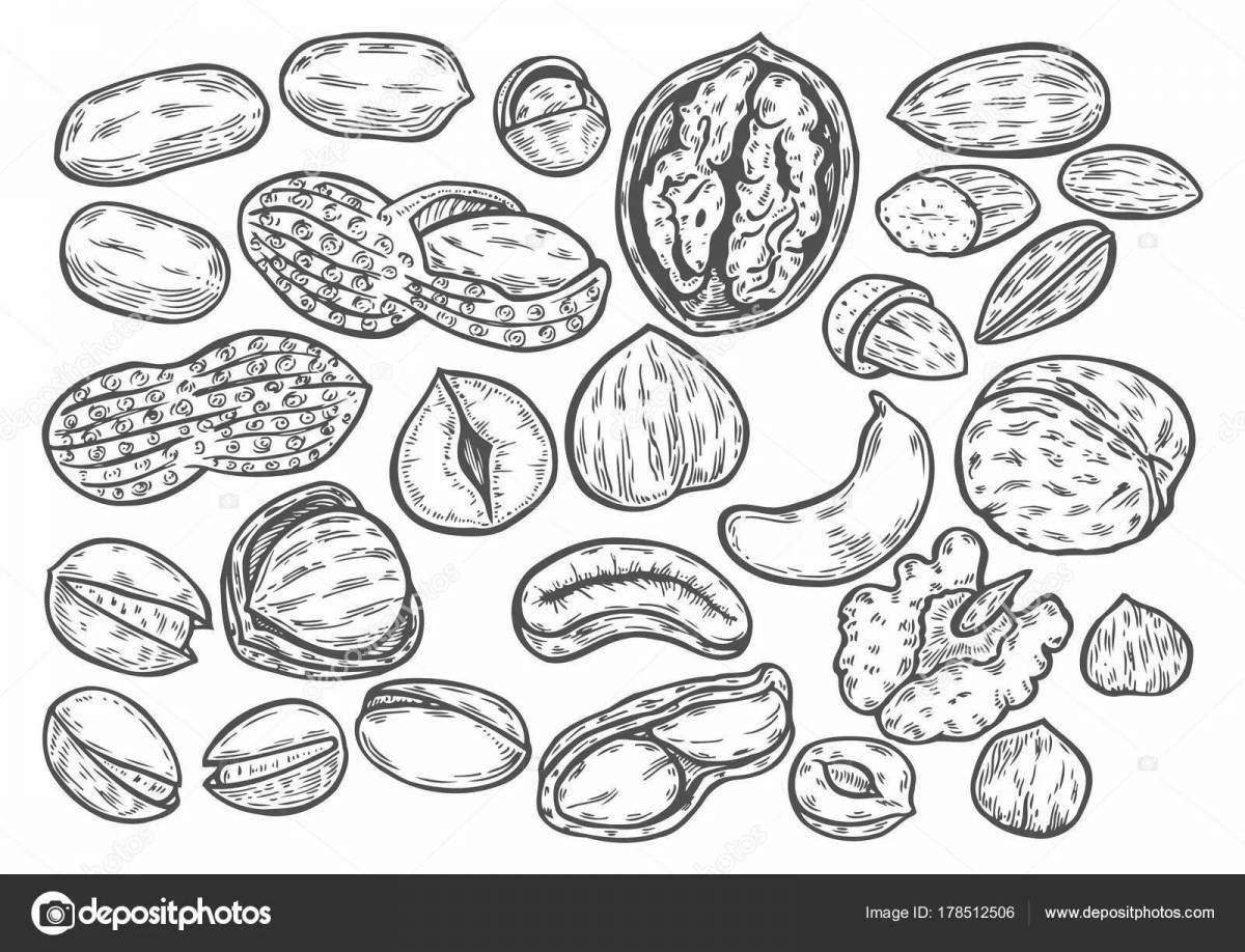 Раскраска Забавная раскраска орех