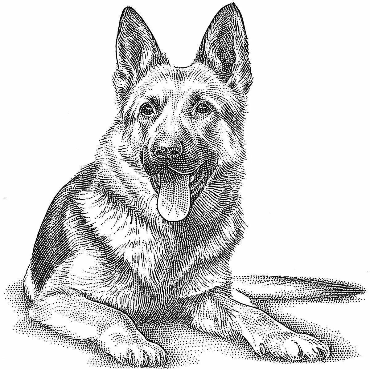 Coloring book german shepherd during play for children