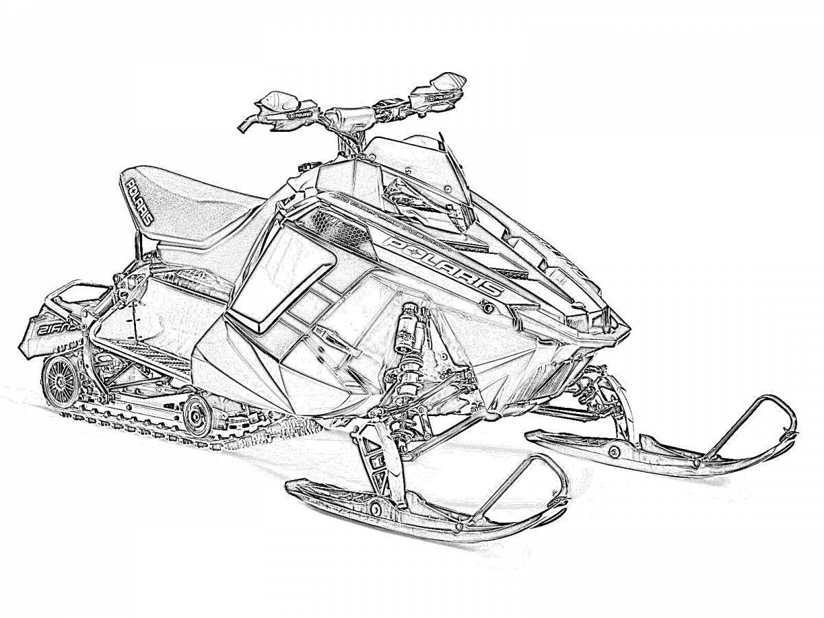 Coloring poetic blizzard