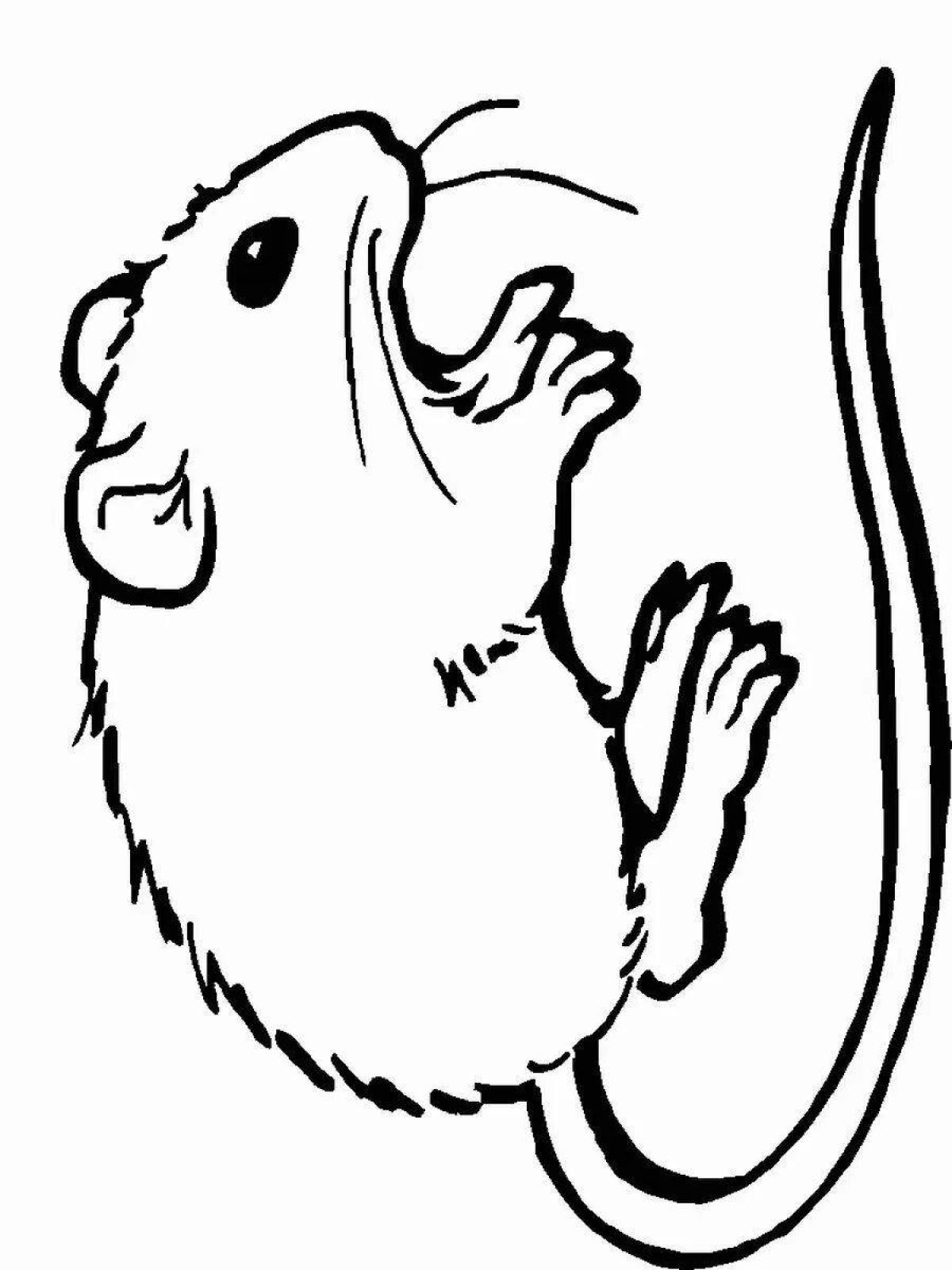Coloring page playful vole
