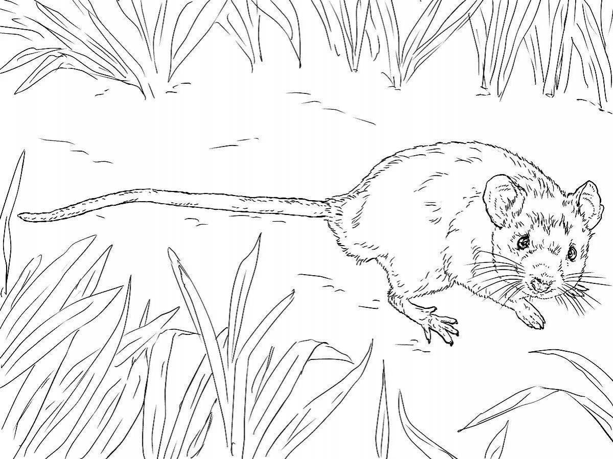 Coloring book glowing vole