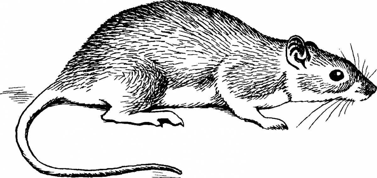 Animated vole coloring page