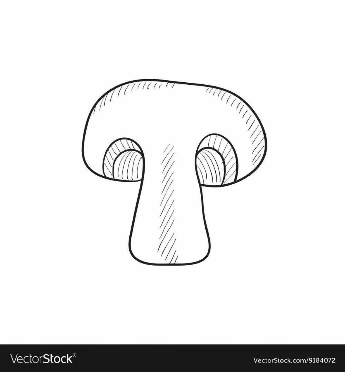 Soft coloring champignons