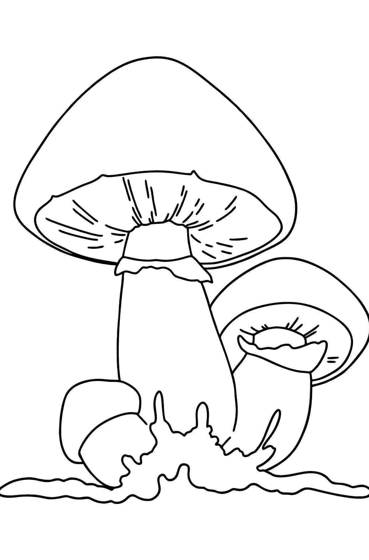 Cozy mushroom coloring book