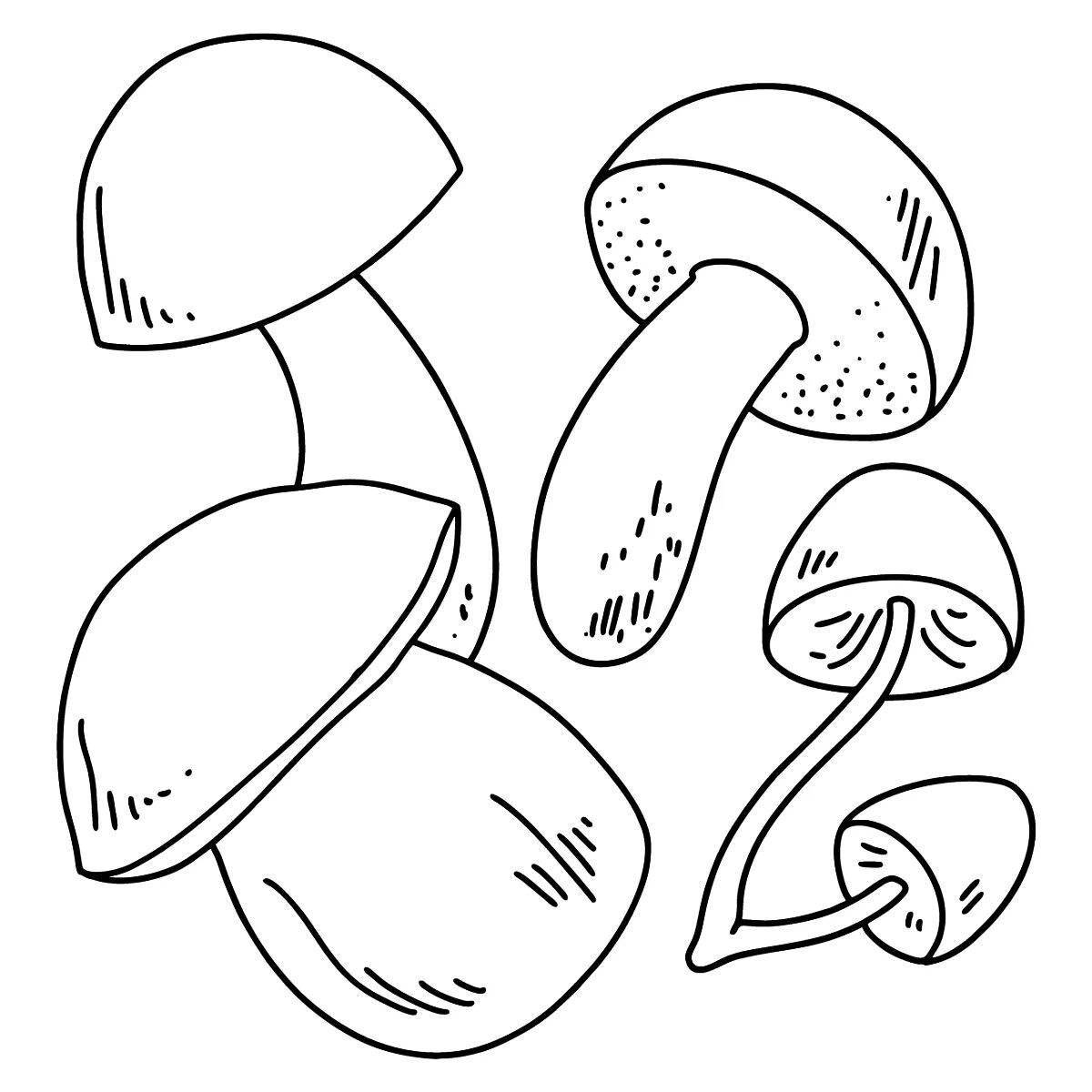 Champignons charming coloring book