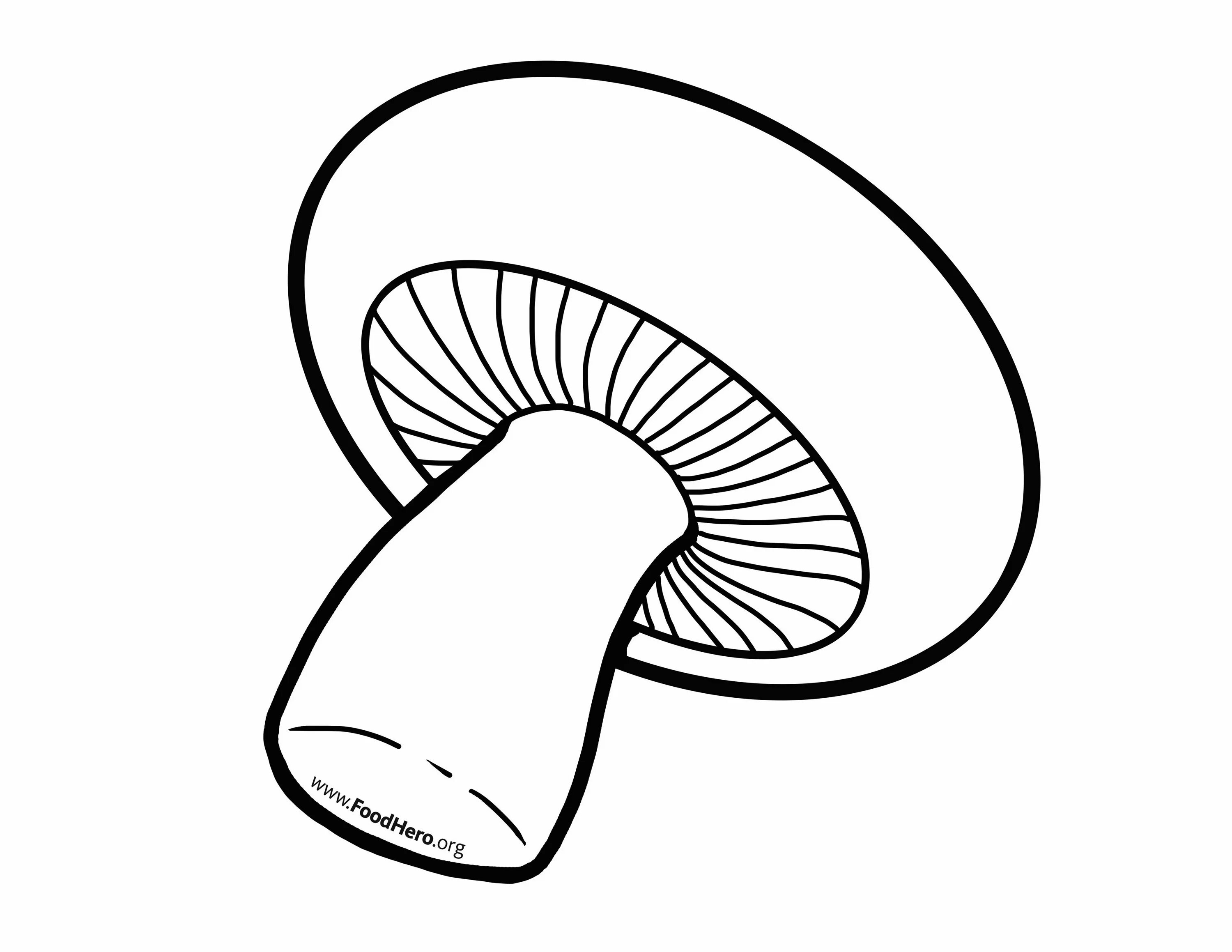 Detailed mushroom coloring