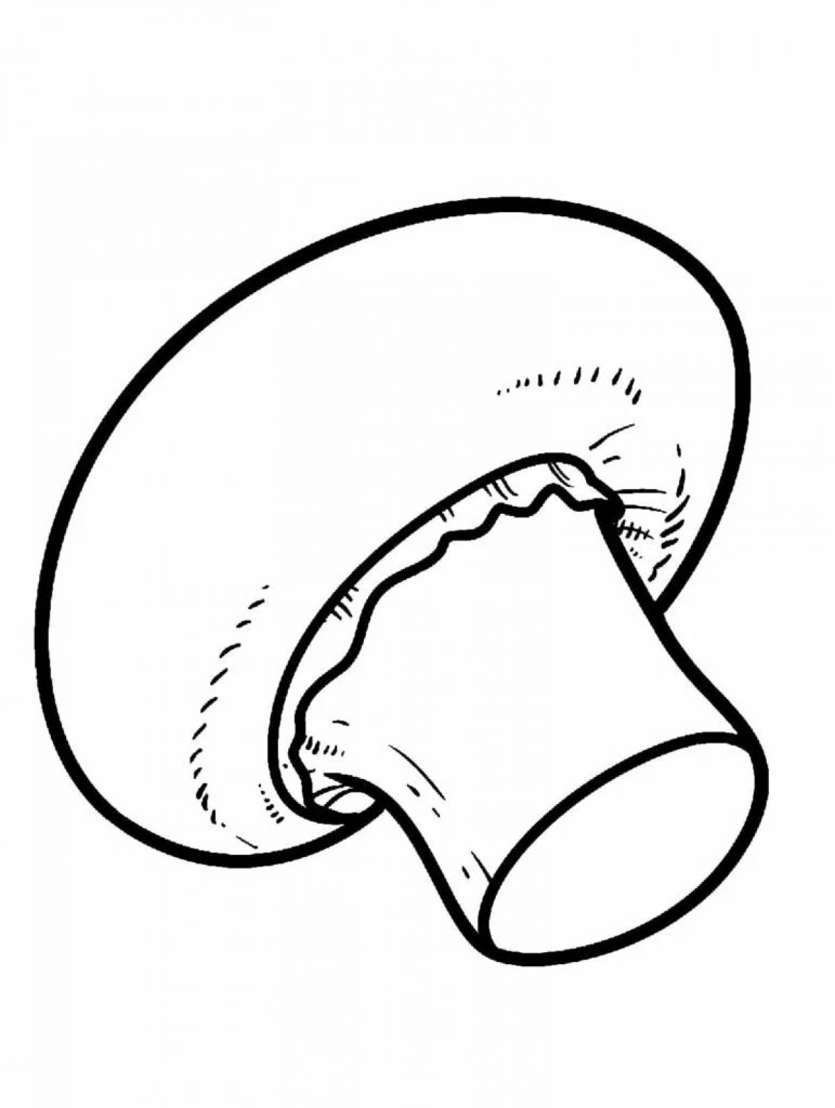 Luxury coloring champignons