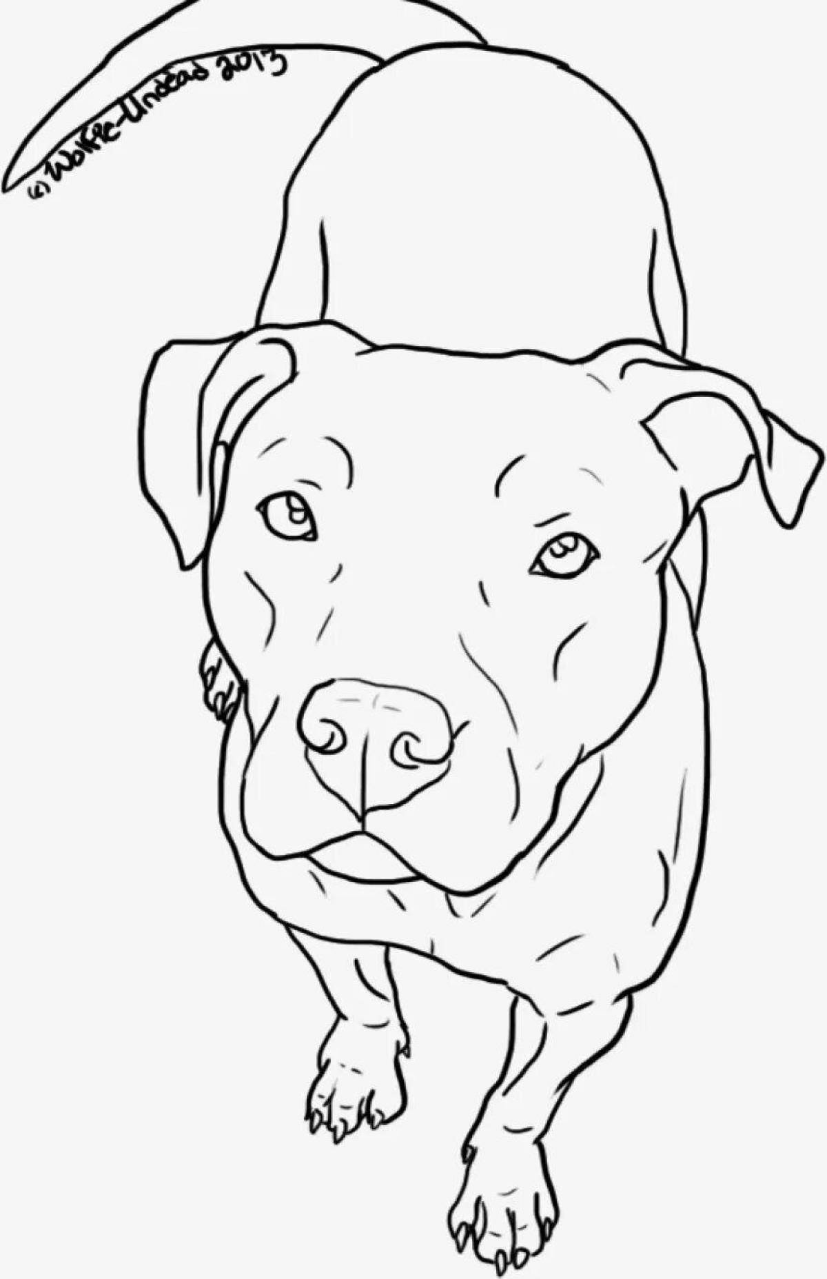 Sweet stafford coloring page