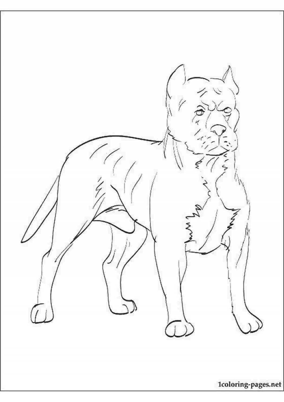 Fancy stafford coloring book