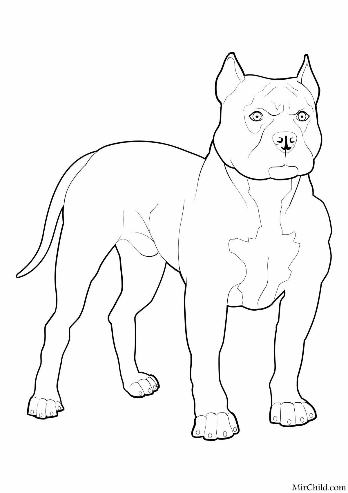 Animated stafford coloring page