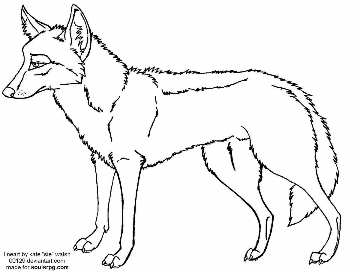 Photo Coloring page fat coyote