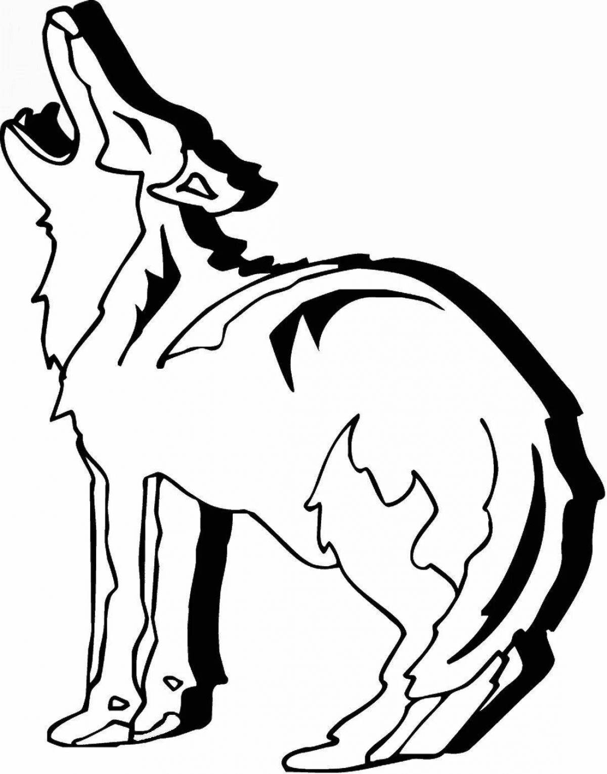 Раскраска живой койот