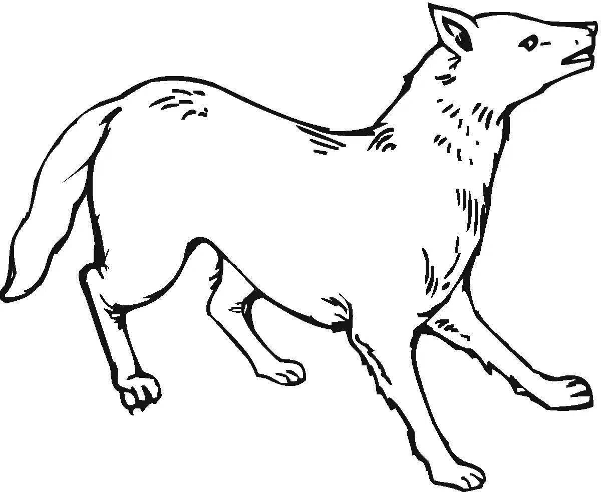 Coloring page energetic coyote