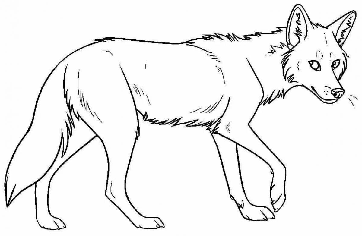 Detailed coyote coloring page