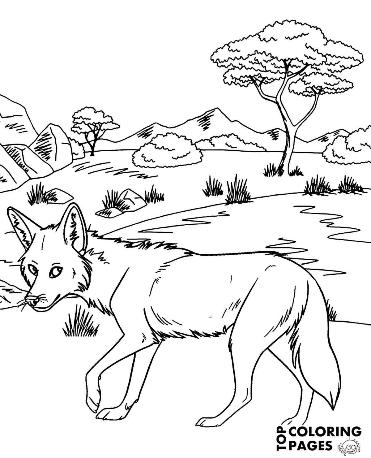 Adorable coyote coloring book