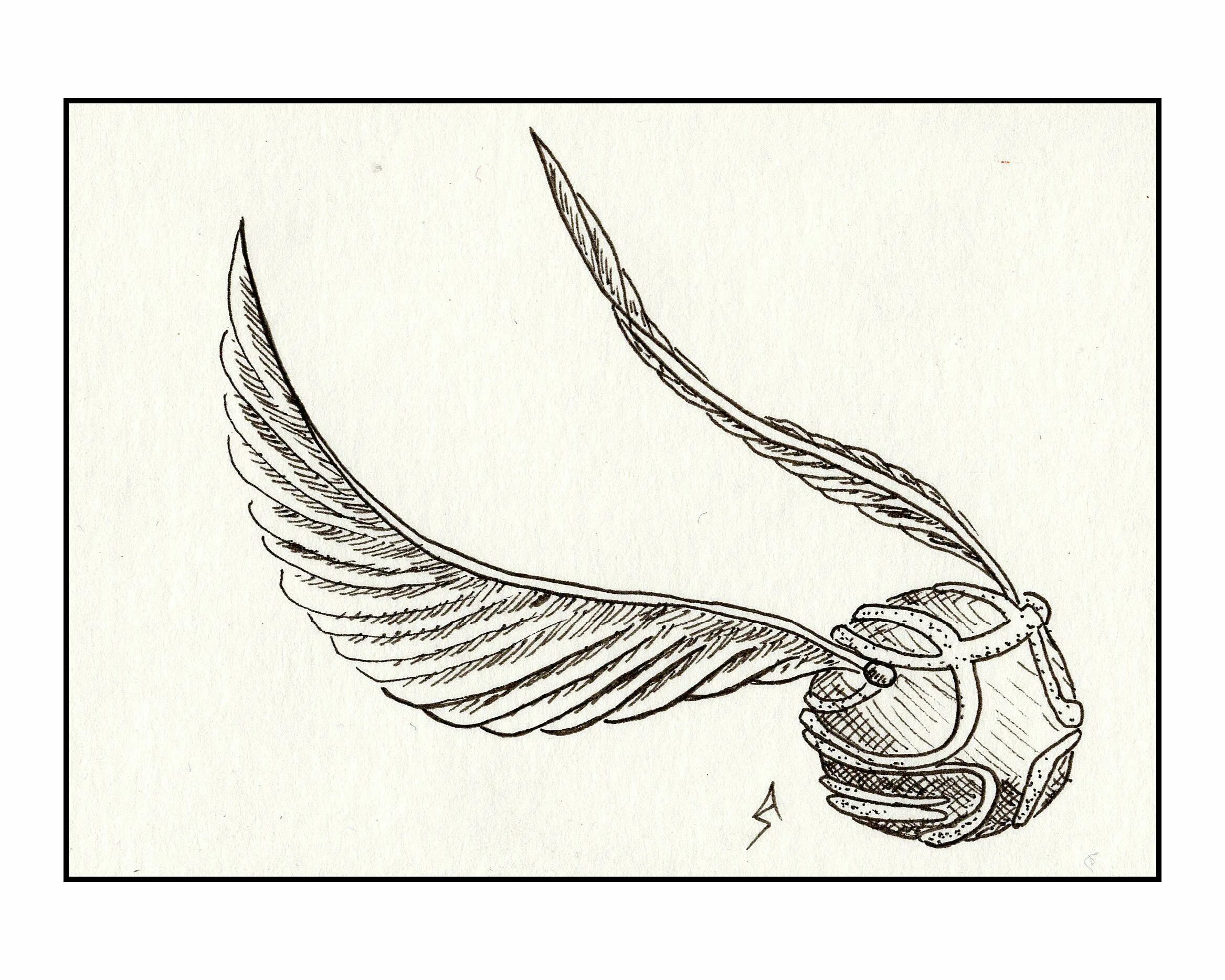 Photo Snitch bold coloring