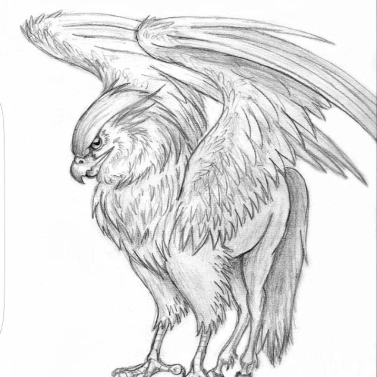 Exquisite hippogriff coloring book