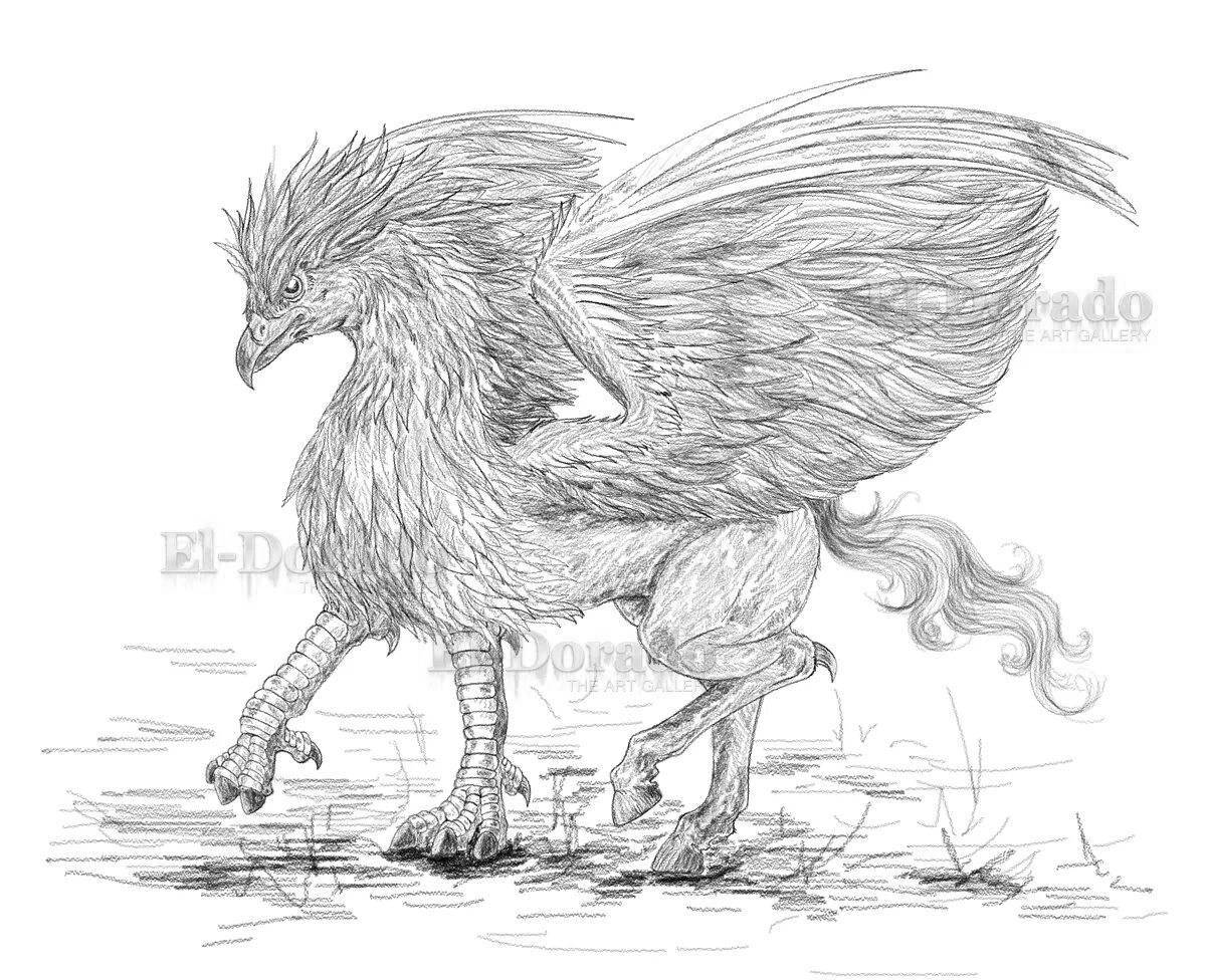 Rampant Hippogriff Coloring Page