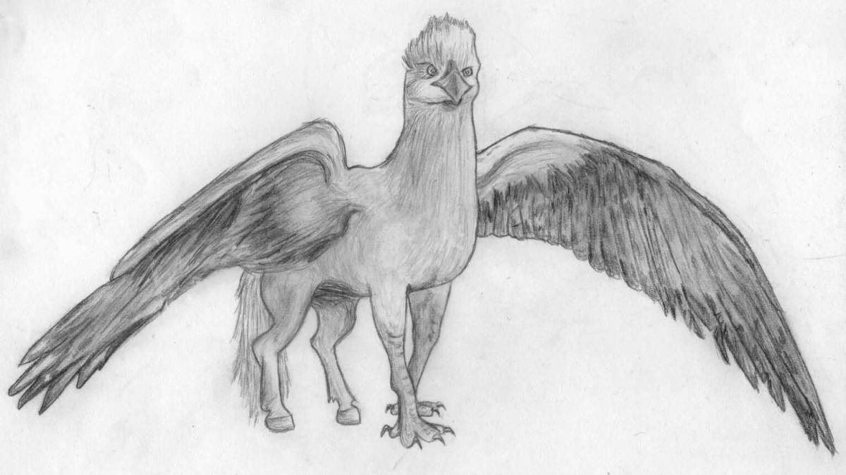 Glorious hippogriff coloring book
