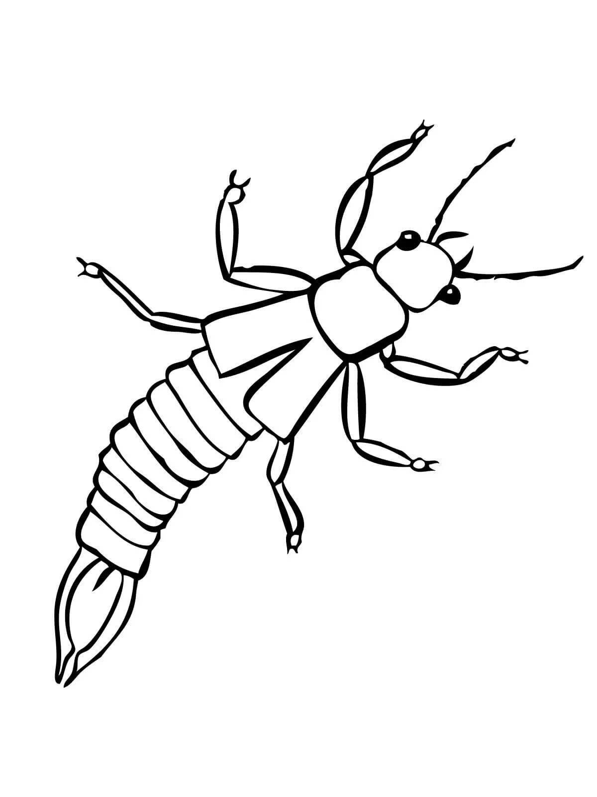 Amazing beetle coloring pages