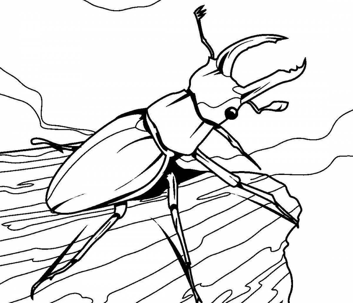Bugs #1