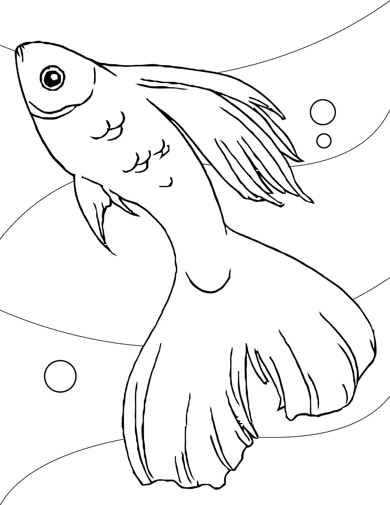 Gorgeous guppies coloring book
