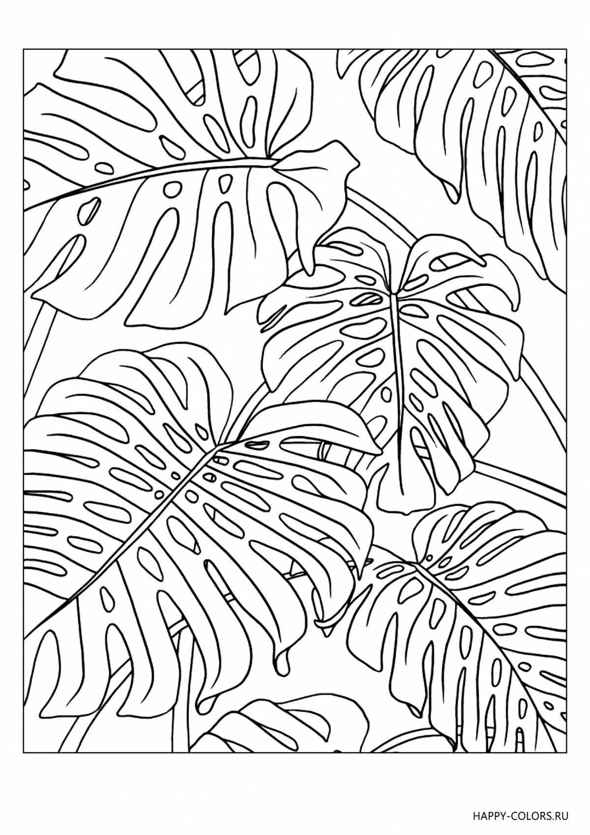 Dreamy coloring of the tropics