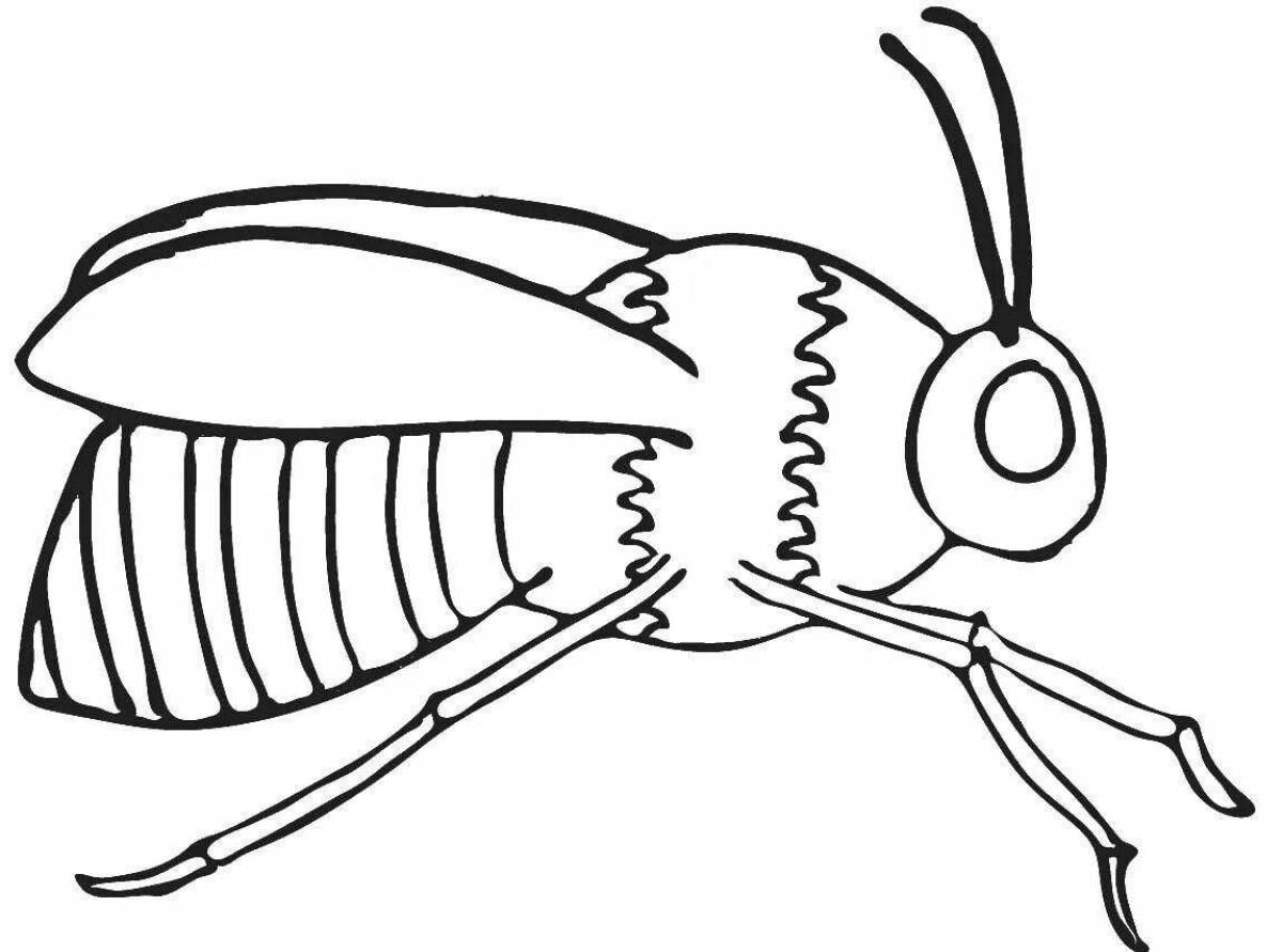 Colorful insects coloring pages