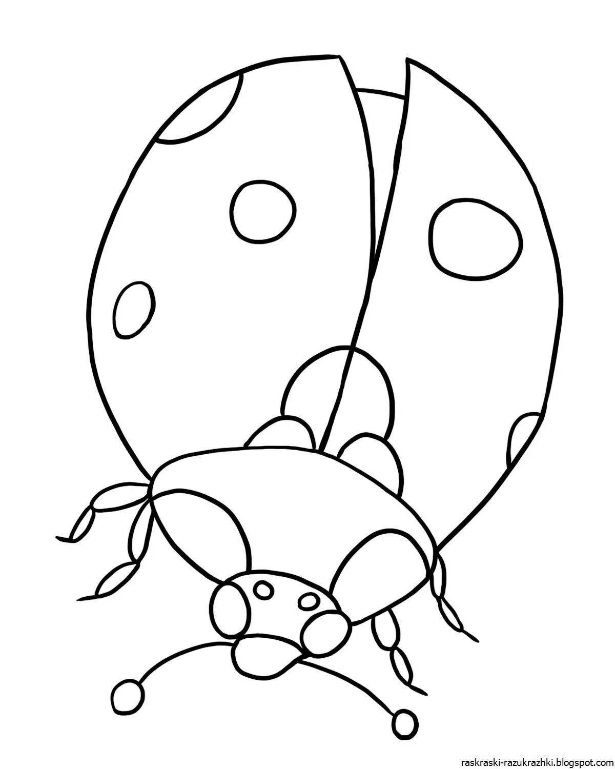 Attractive insect coloring pages