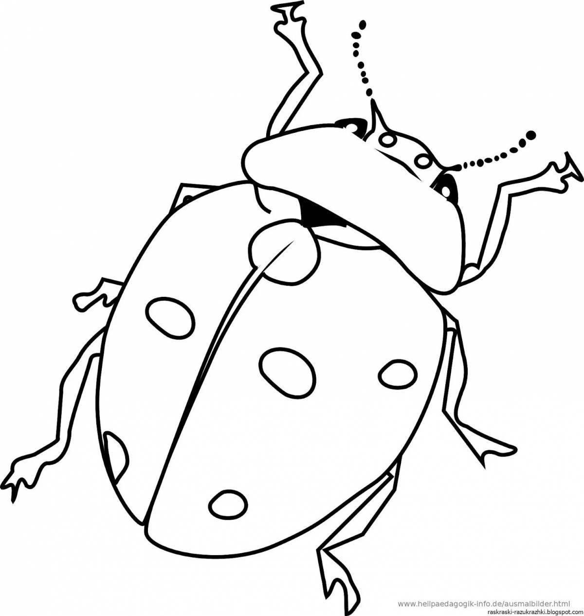 Exotic coloring pages insects