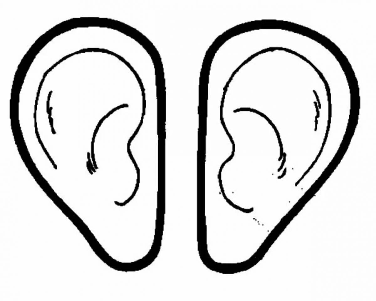 Fun coloring of ears for children