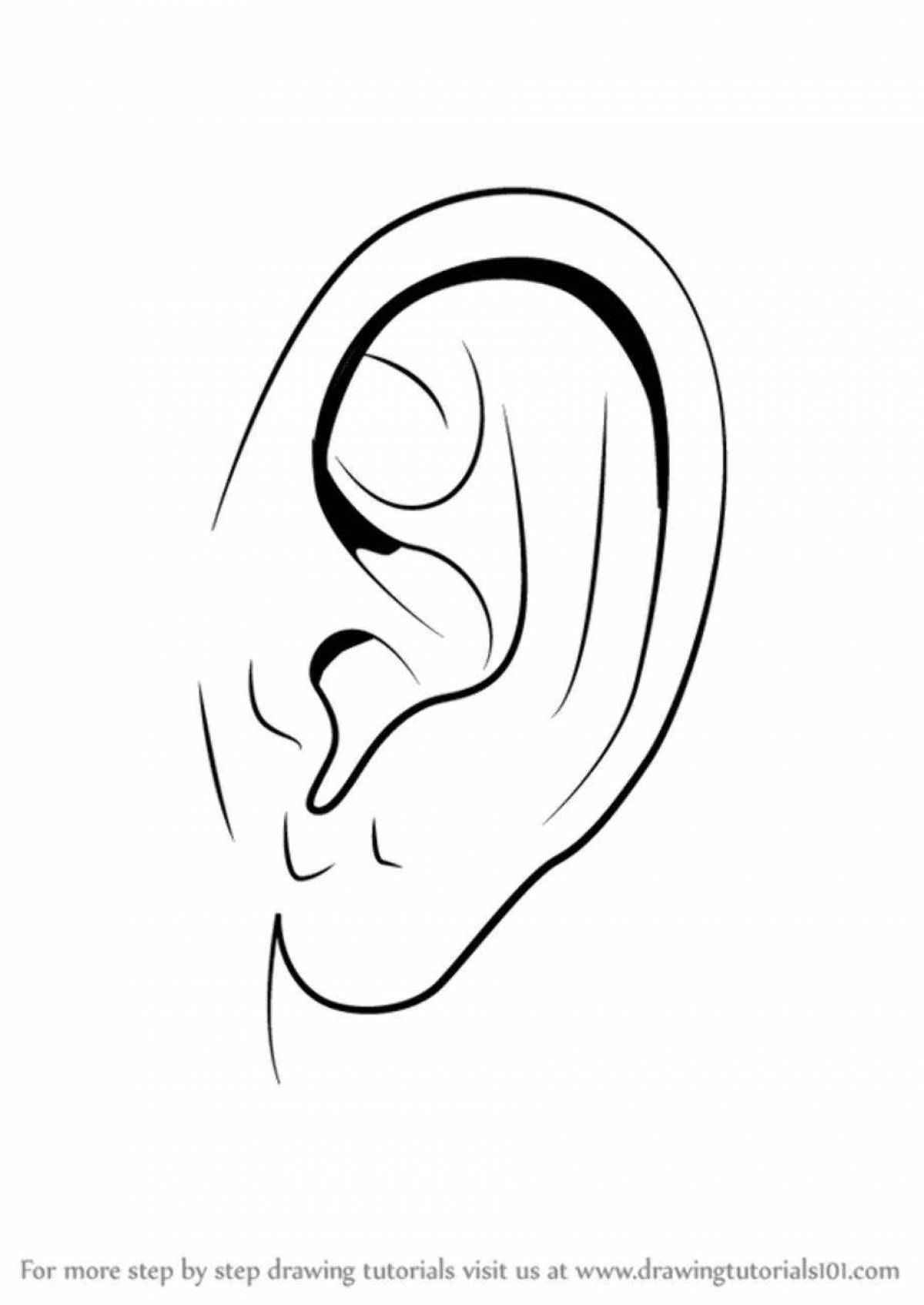 Coloring page of colorful ears for kids