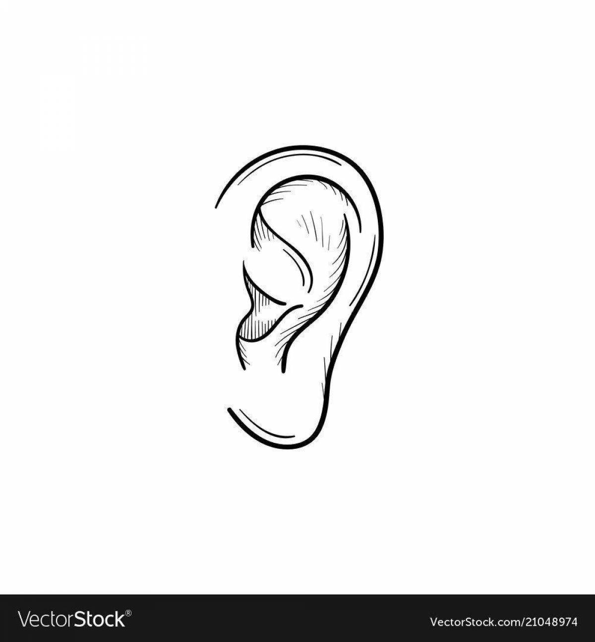Colorful baby ear coloring page