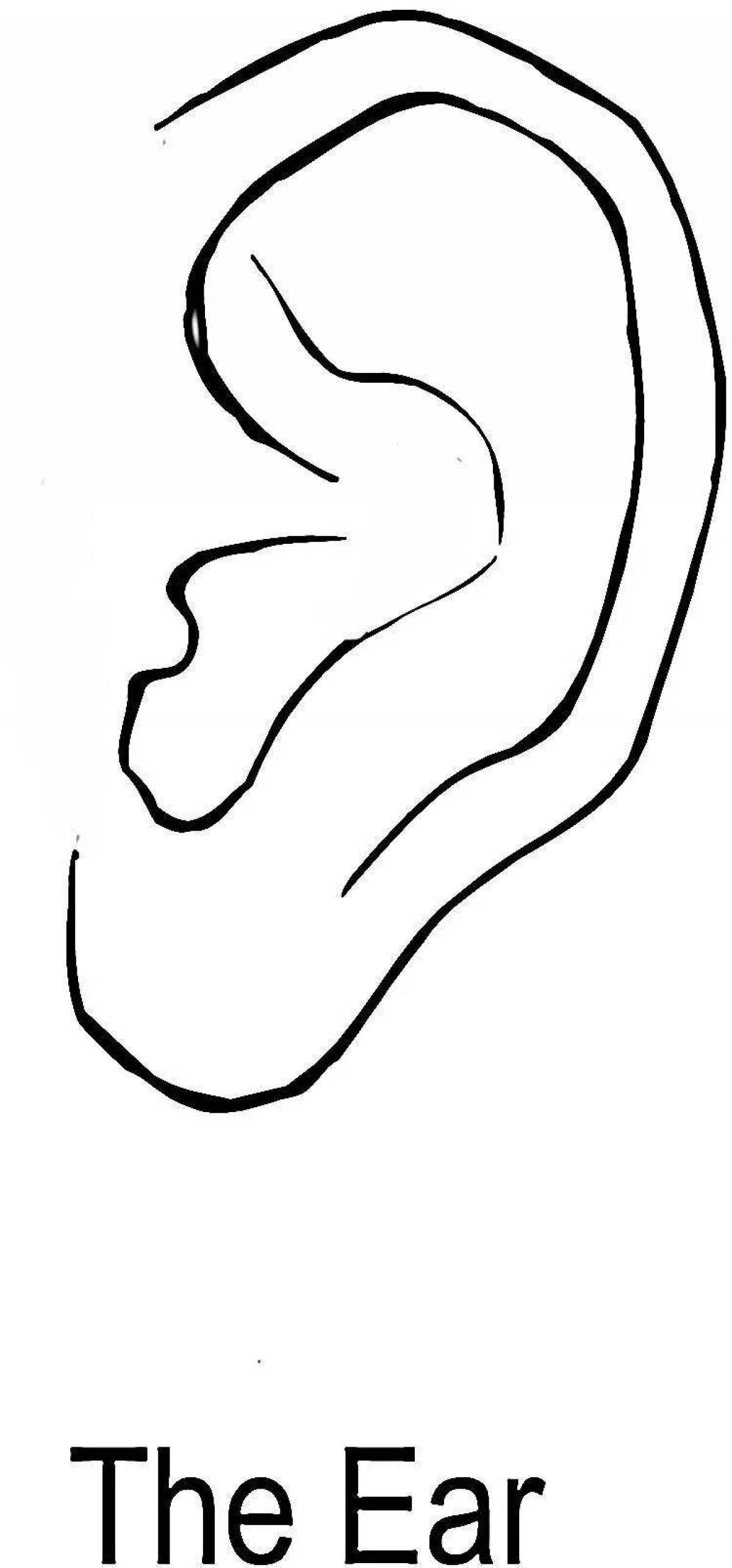Striking ears coloring page for juniors
