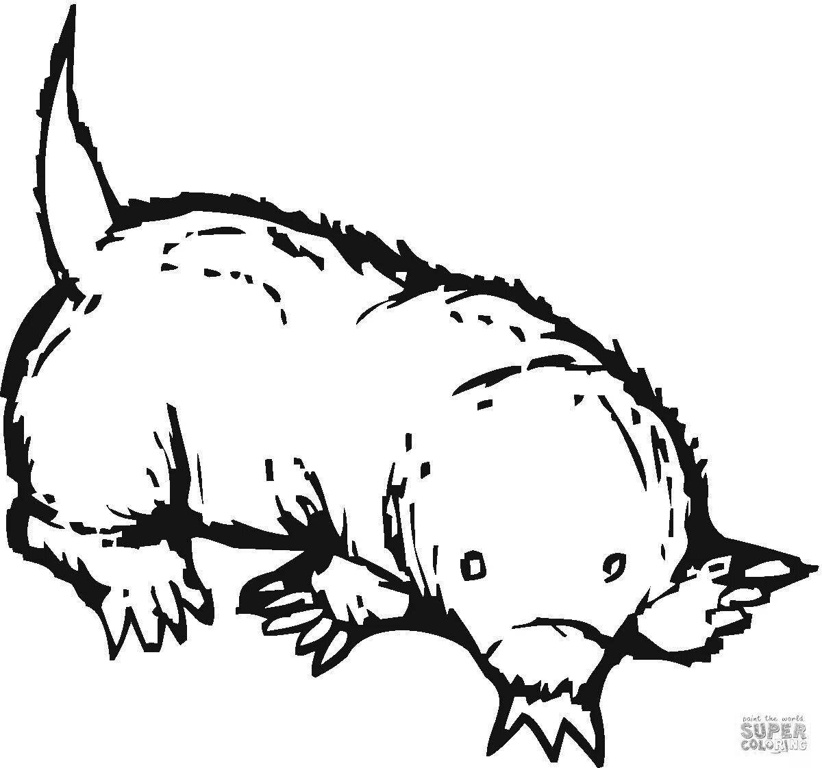 Fabulous mole coloring page for kids