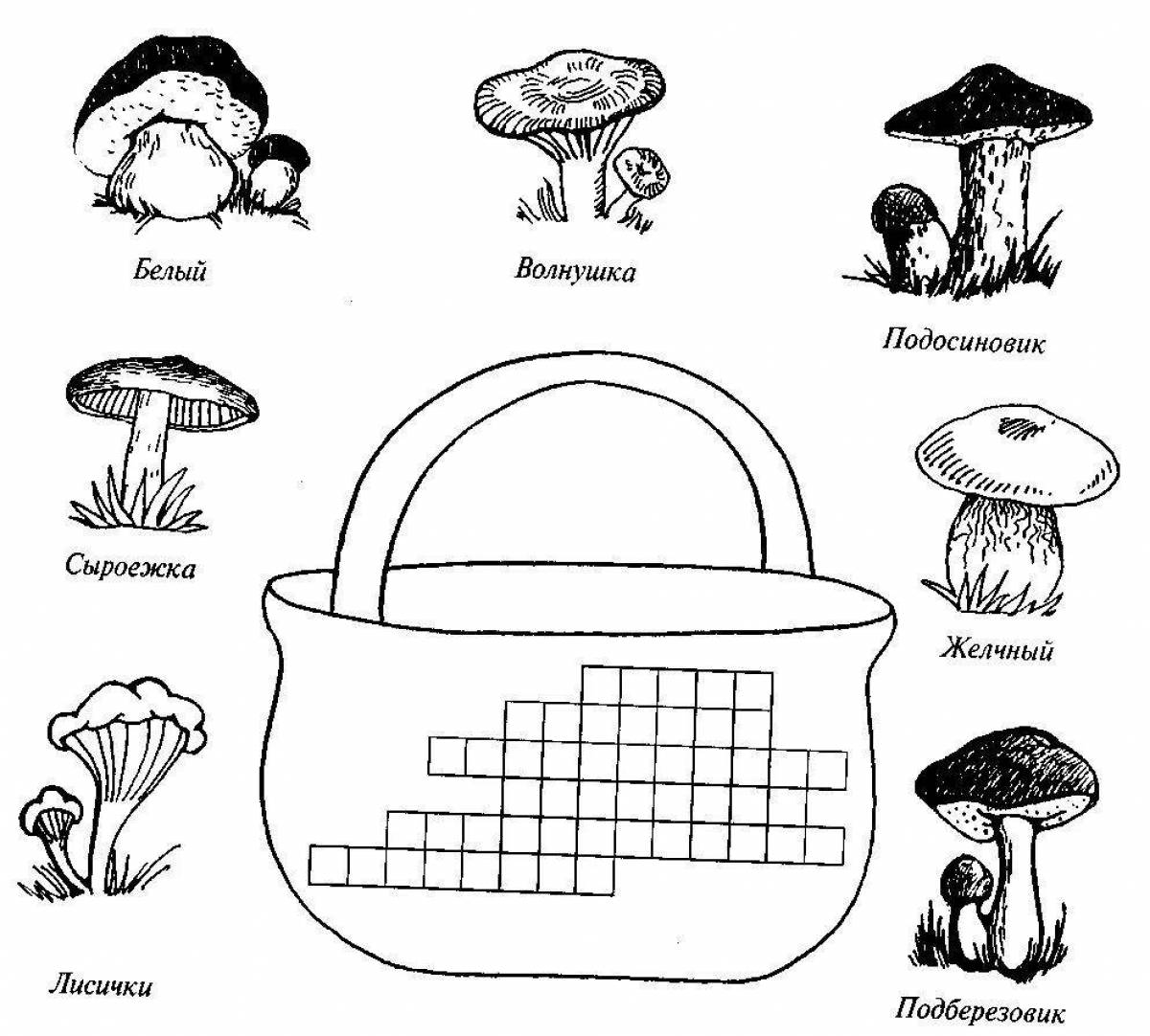 Съедобные и несъедобные грибы раскраска с названиями