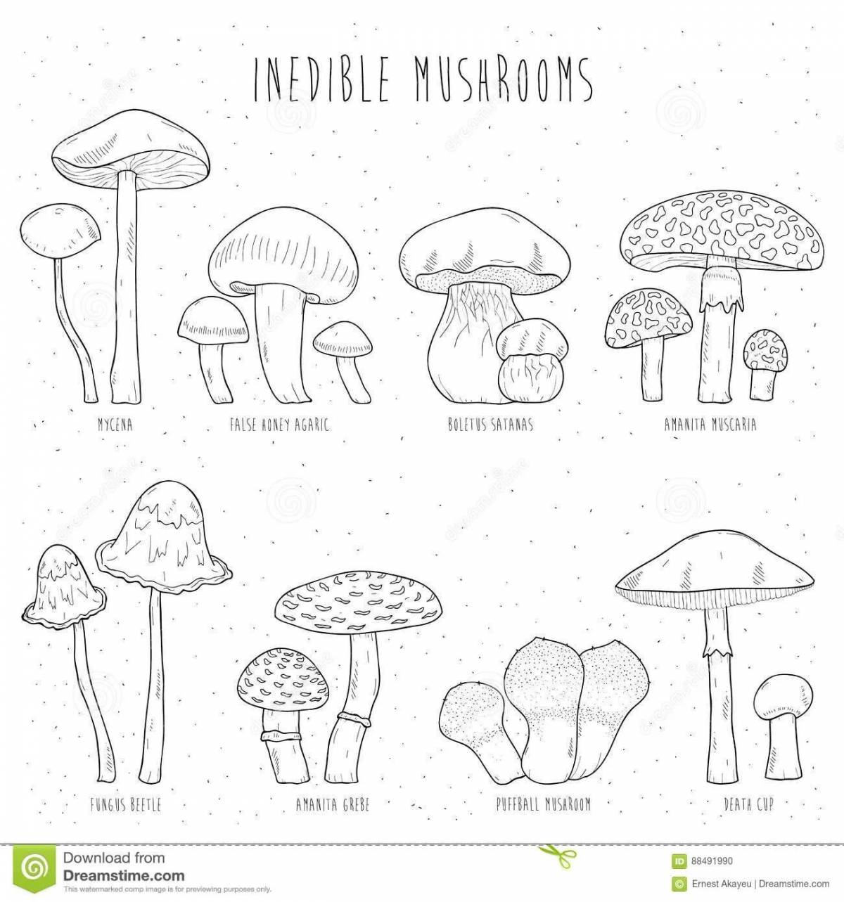 картинки грибов для детей с названиями распечатать