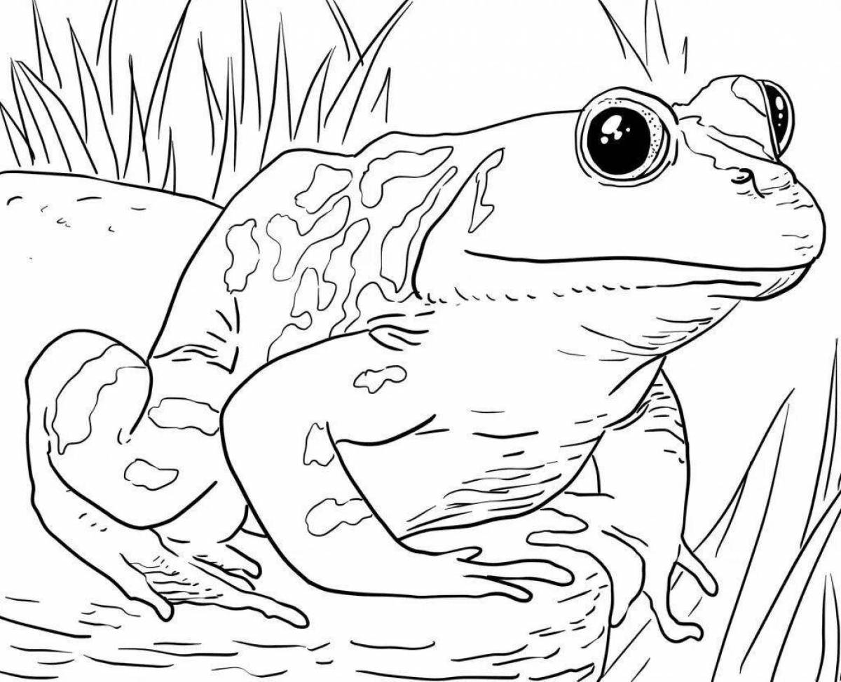 Забавная раскраска жаба для детей