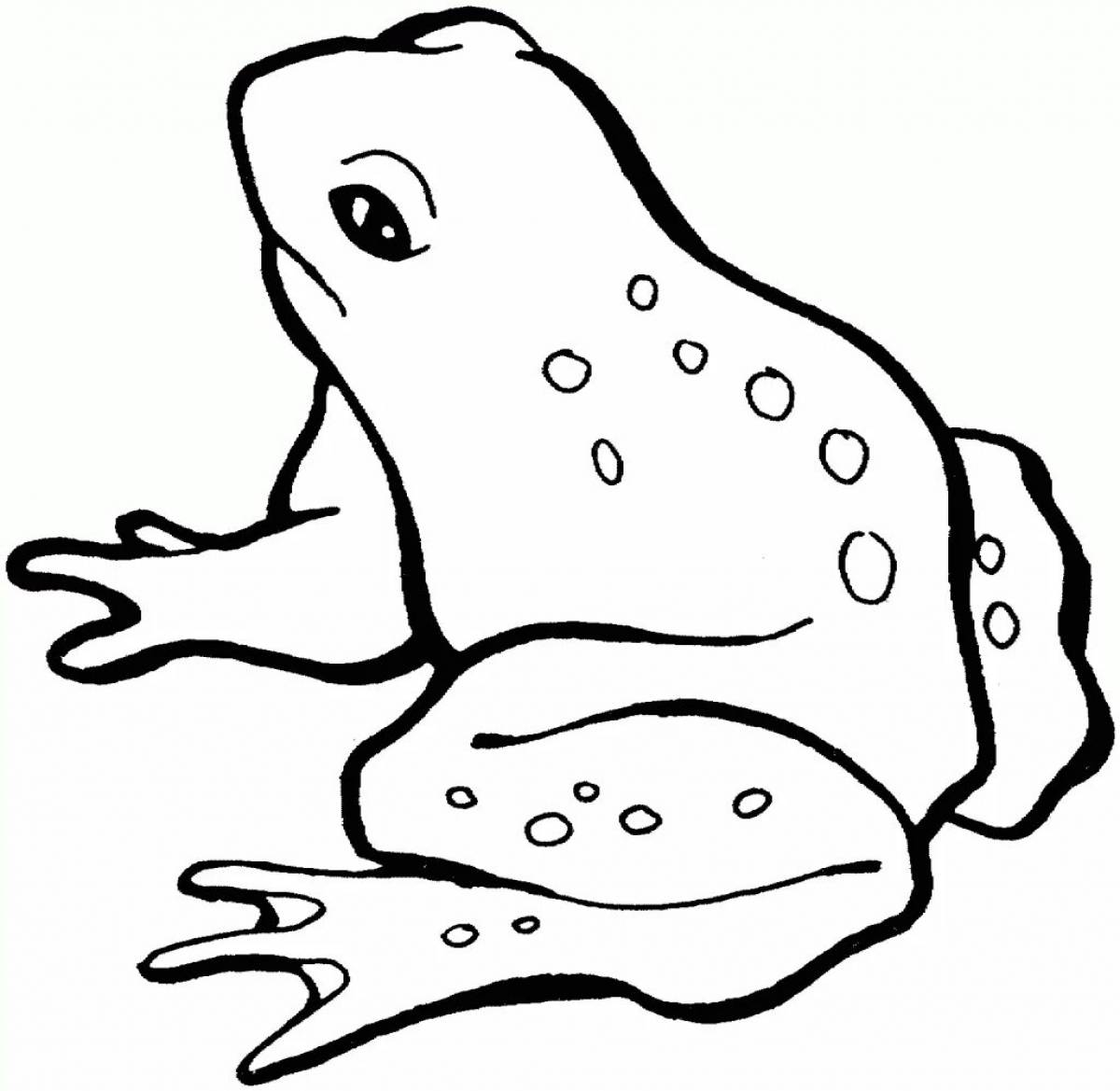 Праздничная раскраска жаба для детей