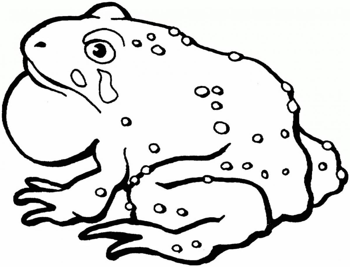 Остроумная жаба-раскраска для детей