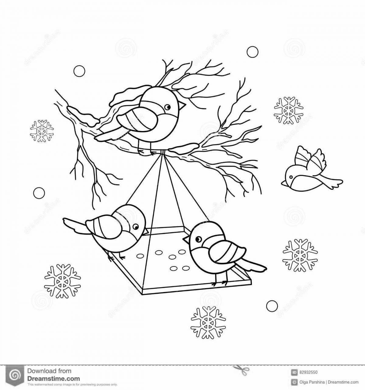 Colouring bright winter birds for kids