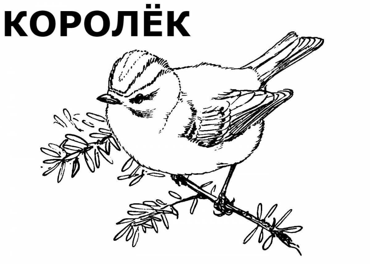 Funny winter birds coloring for kids