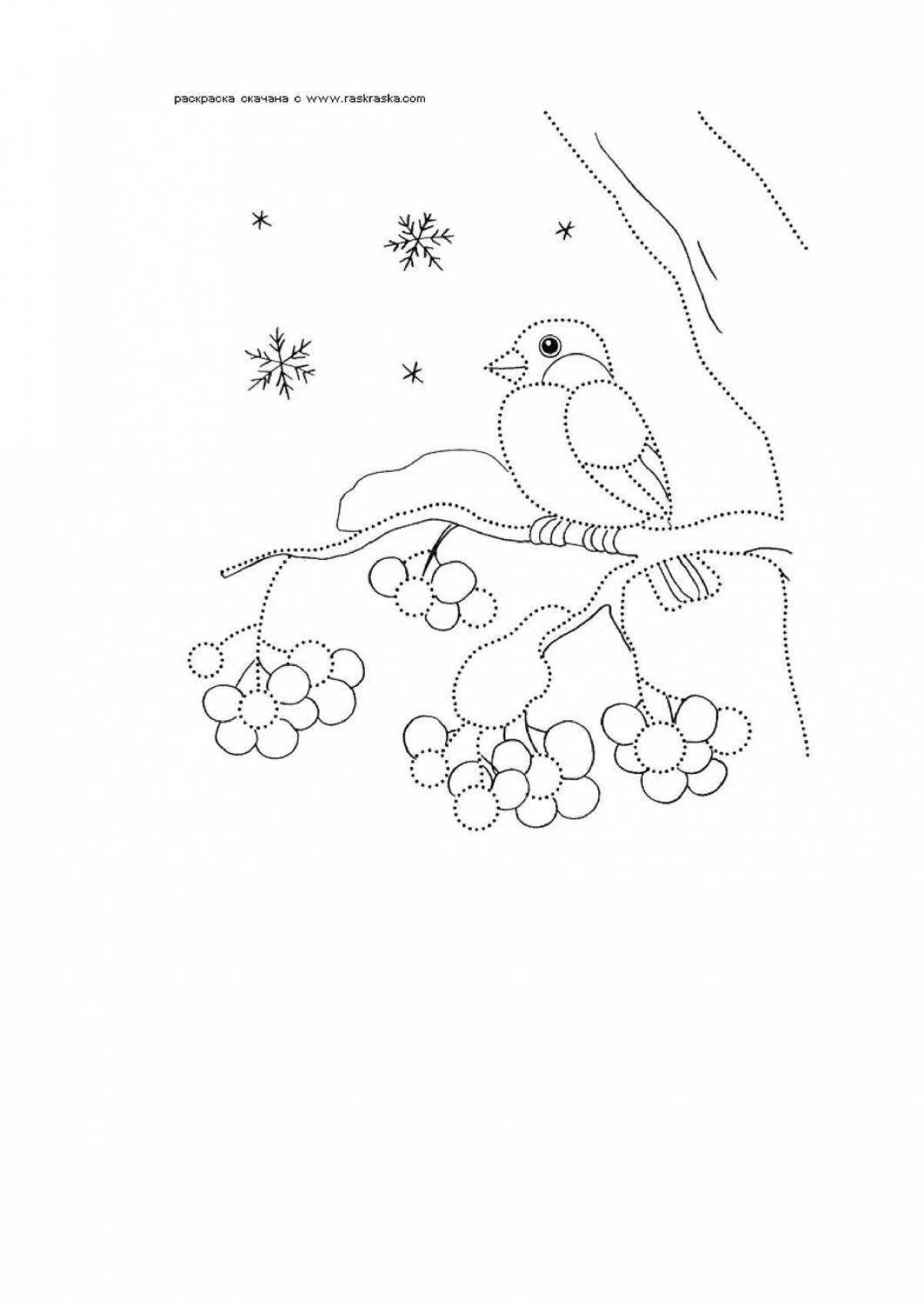 Violent winter birds coloring pages for children