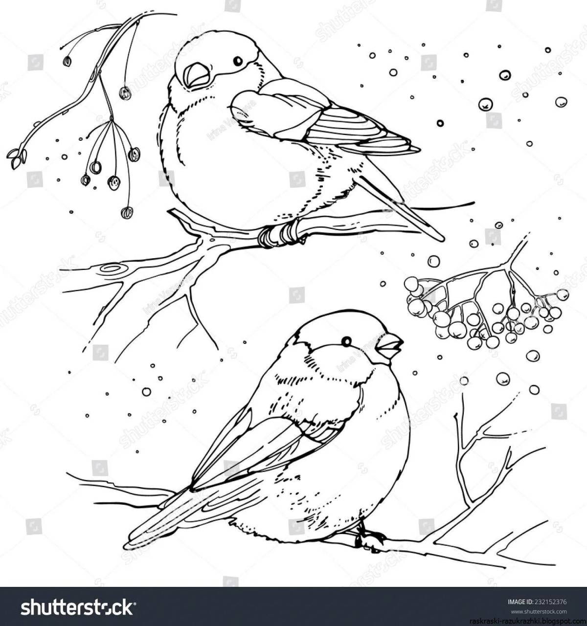 Winter birds for kids #5