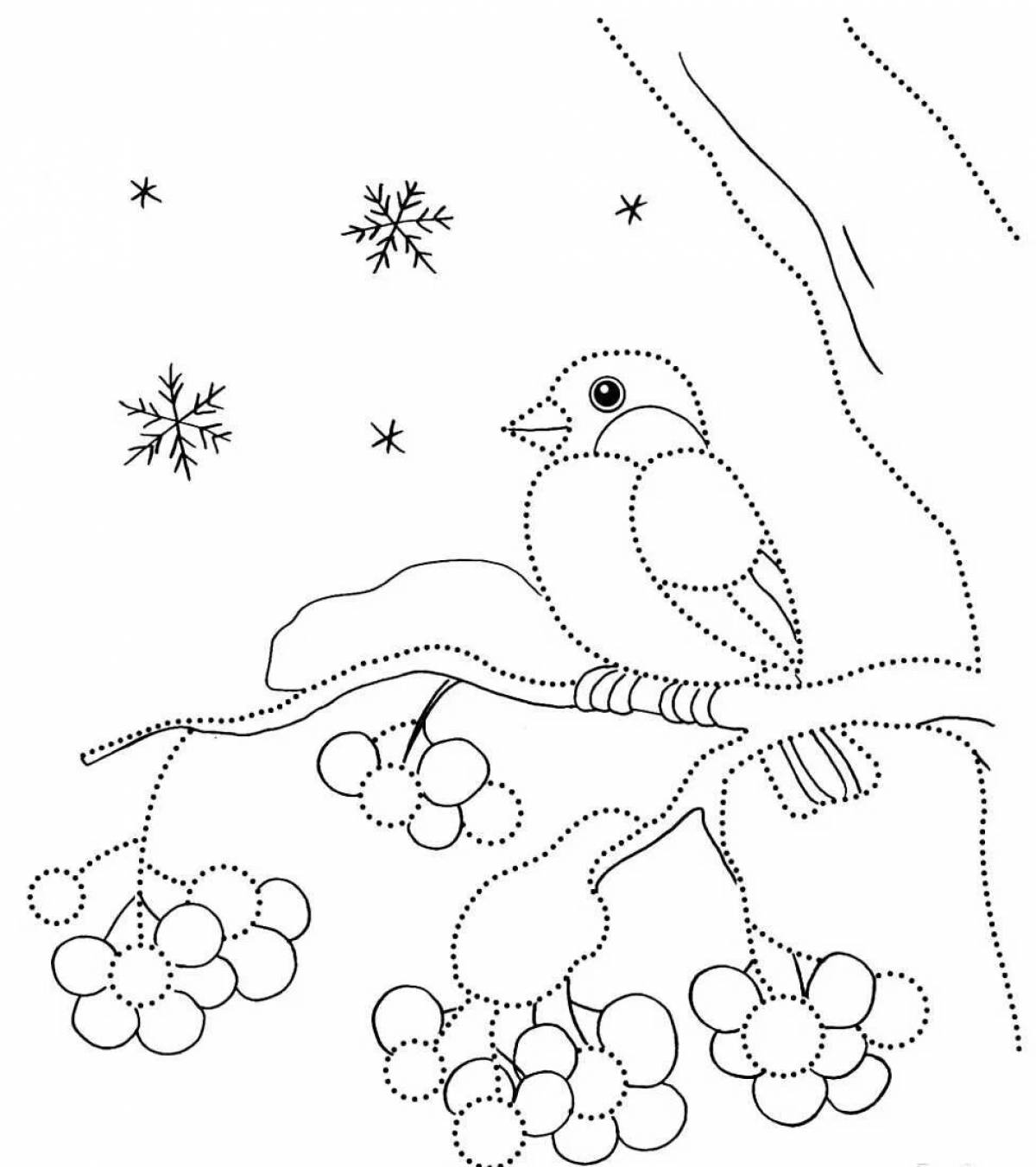 Зимние птицы для детей #9