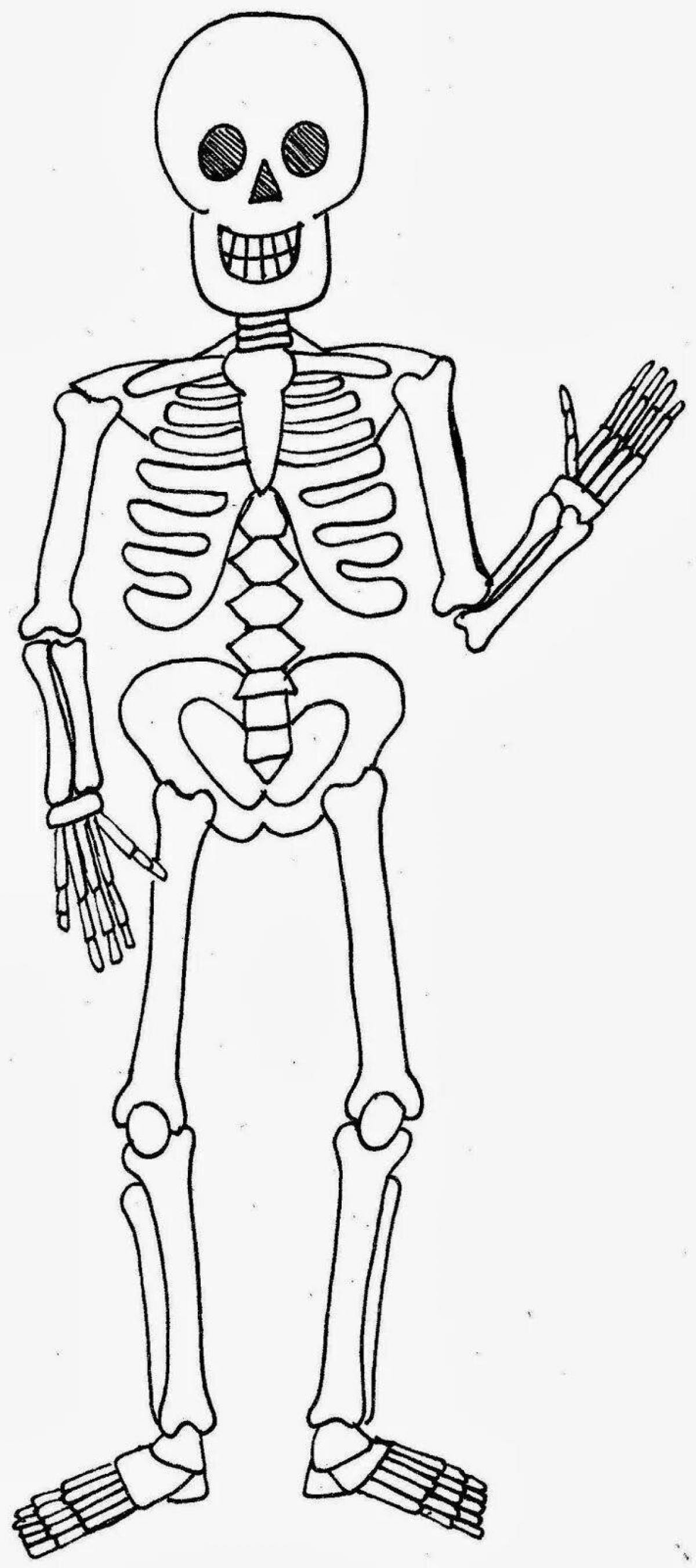 Colorful skeleton coloring page for kids