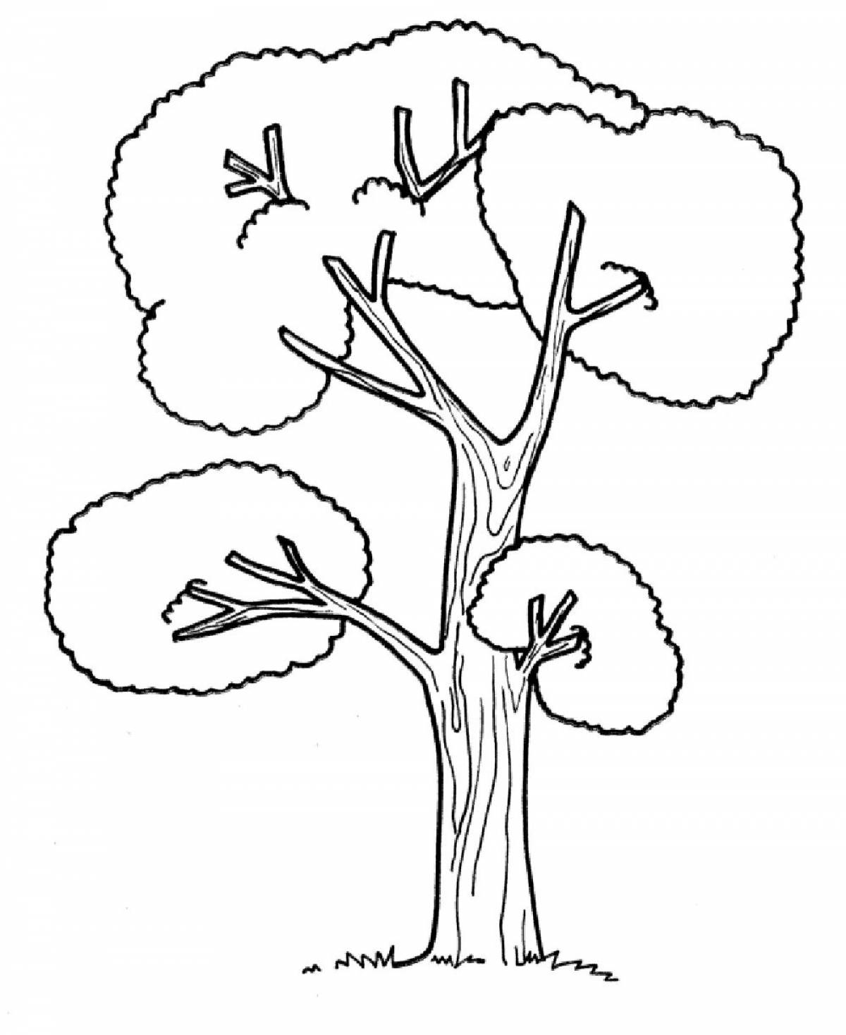 Раскраска милое дерево для детей 5-6 лет