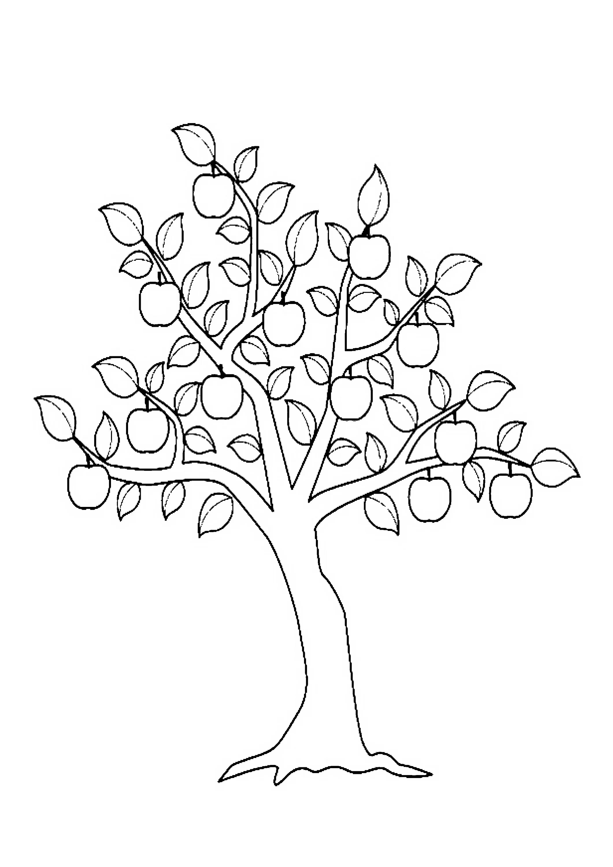 Dynamic tree coloring page for 5-6 year olds